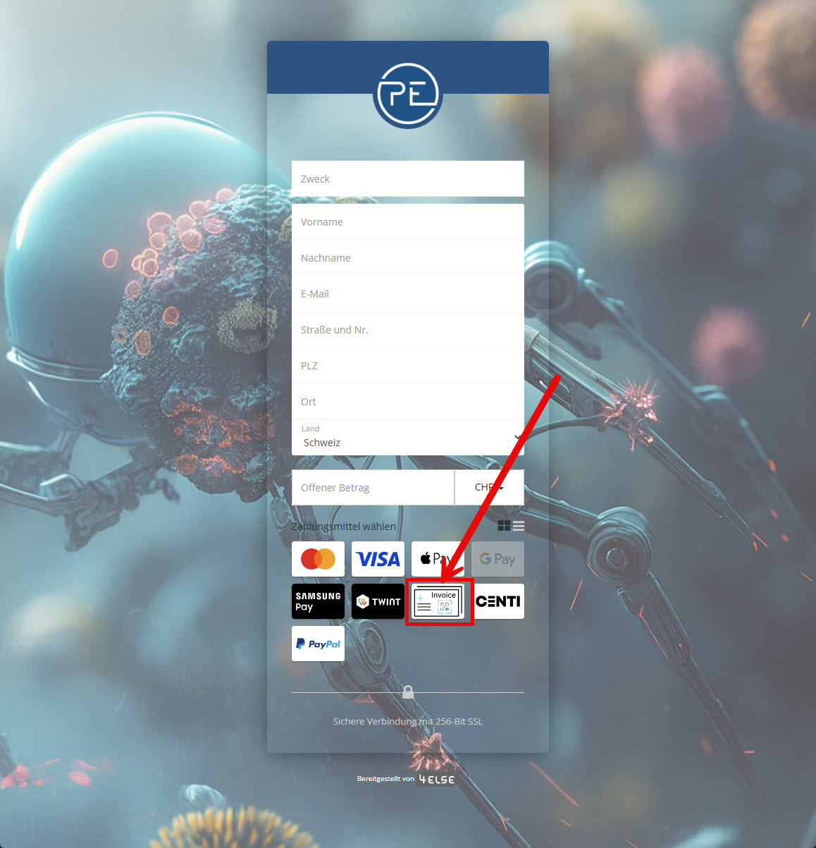Invoice_Anzeige